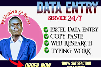 do accurate data entry and convert PDF to excel