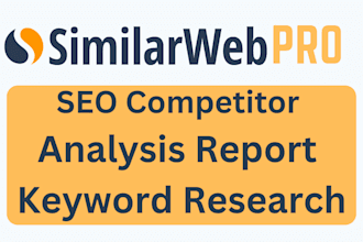 conduct a similarweb performance review and website analysis