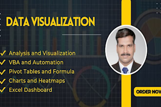 do excel data analysis and statistical visualization reports