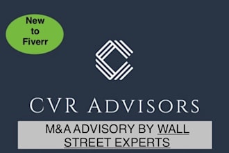 provide financial advisory services for private equity or strategic acquisitions