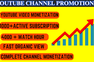 do youtube channel promotion  subscription growth,complete channel monetization