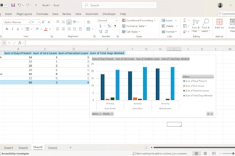 design custom excel payroll sheets, HR templates, and expert data analysis