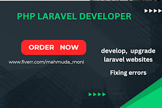 develop laravel dashboards and high performance websites
