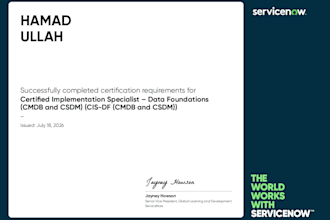assist servicenow technical support for any task or story