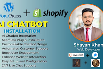 build a chatbot ai plugin for wordpress ecommerce using tidio, website design