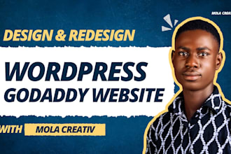 build a professional godaddy wordpress website design, godaddy website redesign