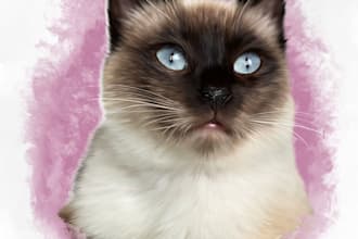 create amazing art for your animals