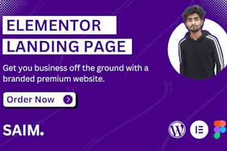 design wordpress landing, sales or one page website with elementor pro