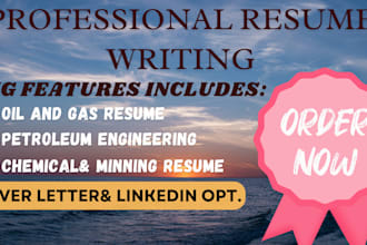 write a professional minning, petroleum and chemical engineering resume