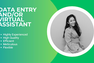 be your virtual assistant for data entry and admin support