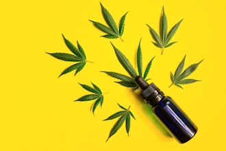 grow and skyrocket your cbd website, cbd telegram, cannabis and marijuana