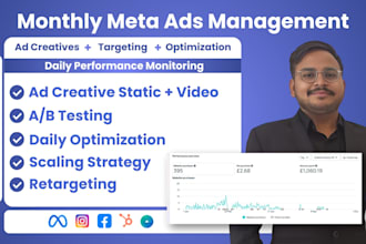 manage meta ads with custom ad creatives, video editing, high roas