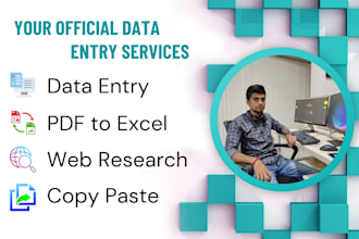 do data analyst excel data cleaning and data collection