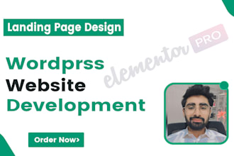 do wordpress website development, design or redesign elementor landing page