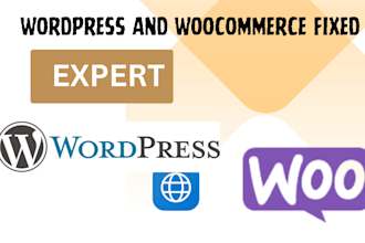 integrate API wordpress woocoomerce facebook pixel setup conversation API