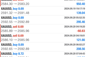 set up profitable forex ea bot and forex ea robot