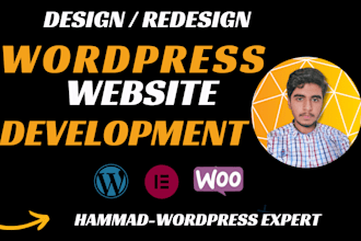 rebuild,redesign,duplicate or copy clone your wordpress website