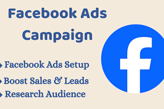 run your facebook ads campaign professionally