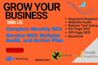 provide complete monthly SEO service with website audit on page and action plan