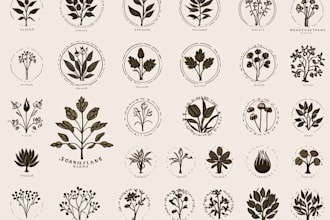 design a beautiful boho botanical feminine logo