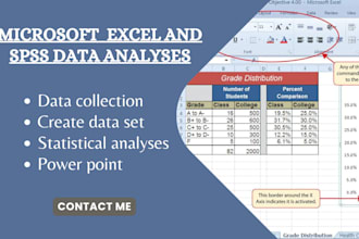 do data collection create data set and statistical analysis in excel and spss