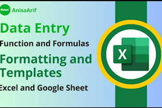 do expert excel data entry, formulas, dashboard, pivot table, and data cleaning
