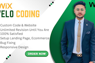 be your wix expert, design wix website, wix developer