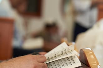 expertly translate hebrew to english and vice versa
