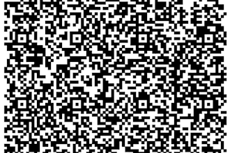 create or generate a professional custom qr code with a logo