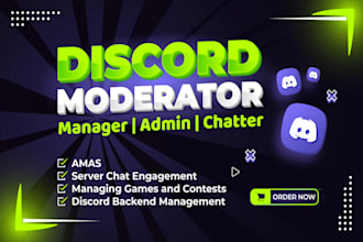 be your professional discord moderator or manager