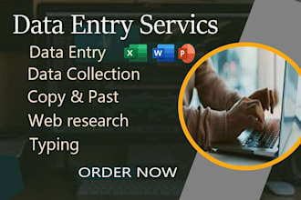 do  web research, data collection, public records google sheets work