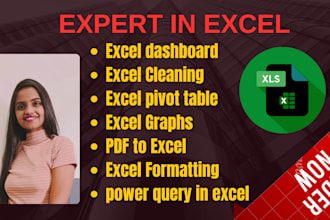 create excel dashboard, pivot tables, chats with slicers