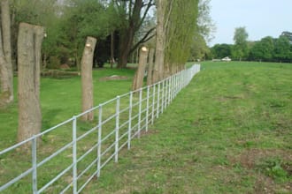 create a wordpress or wix website tailored for a fencing company