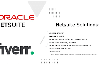 provide netsuite customizations and custom integration solutions