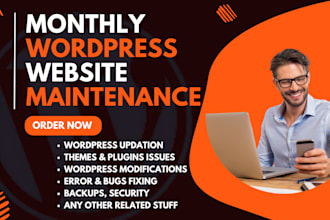 do wordpress website maintenance, customization, bug fixes, support, and updates