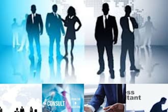 do business services, consultation and IT solutions