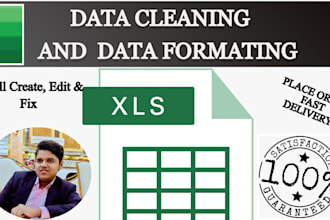 clean ,format ,merge , split excel data