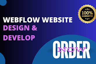 do webflow website design and webflow website development