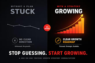 provide a one on one youtube growth strategy consultation