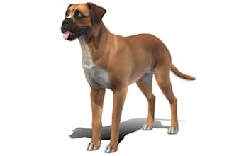 do dog logo, 3d dog modeling, dog model, pet modeling and 3d animal model