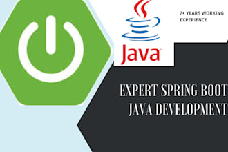 do java applications, rest apis and microservices using spring boot