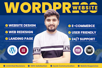 design or redesign responsive wordpress business website or blog using elementor