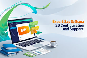 provide expert sap s4hana sd configuration and support