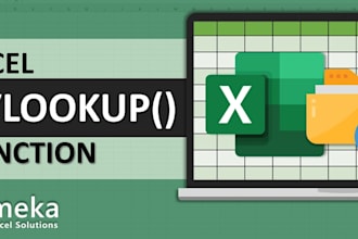 do excel data entry, formulas, vlookup, xlookup and more