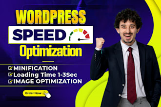 speed up website, optimize speed for wordpress website, page speed insights