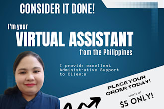 be your virtual assistant for data entry and admin tasks