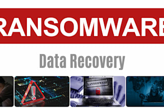 professional ransomware data recovery service