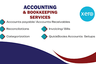 do setup, cleanup,  bookkeeping and bank reconciliation in xero