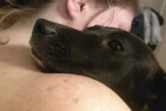 teach you how to communicate with animals telepathically