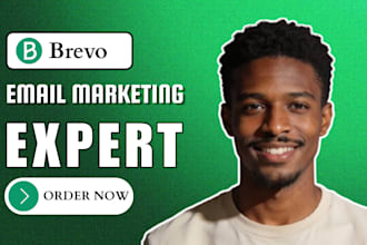 setupbrevo email marketing design brevo newsletter template brevo campaign setup